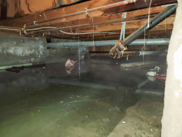 Best Emergency water damage restoration  in Greenville, KY