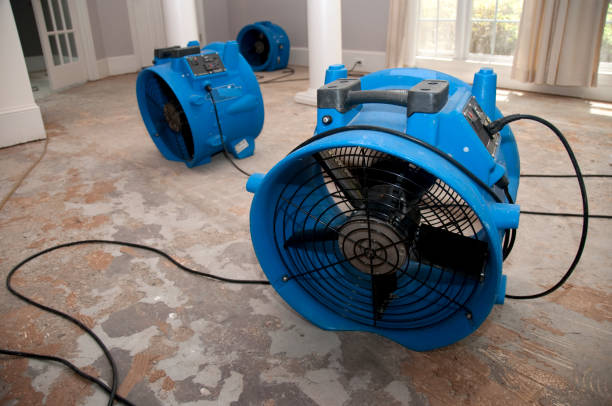 Best Residential water damage restoration  in Greenville, KY
