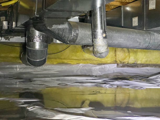 Best 24/7 water damage repair  in Greenville, KY