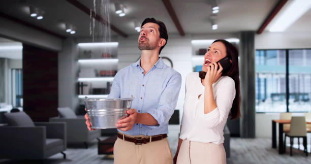 Best Water damage restoration mold remediation  in Greenville, KY